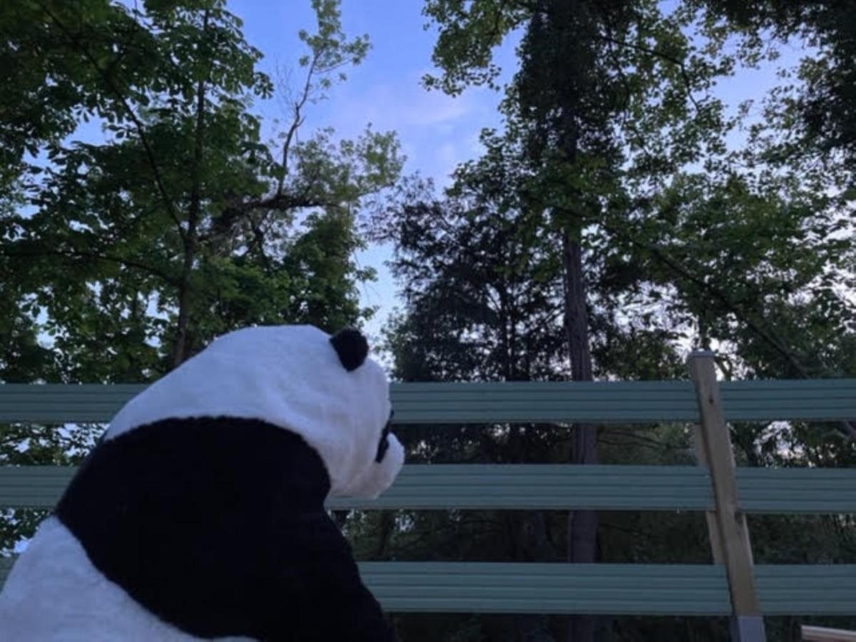 La Cabane Du Panda Abrest Zewnętrze zdjęcie